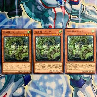 【N】天威龍-ナハタ 3枚 RIRA-JP015