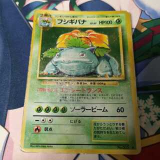 Old Back Side Venusaur Lv67