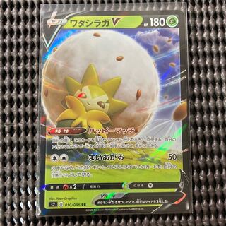 ワタシラガV ハッピーマッチ