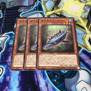 貪食魚グリーディス ノーマル　Hulu 602