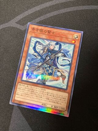 青き眼の賢士 パラレル ノーマル