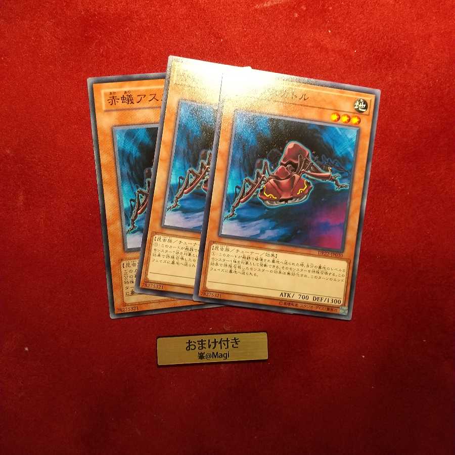 赤蟻アスカトル ノーマル