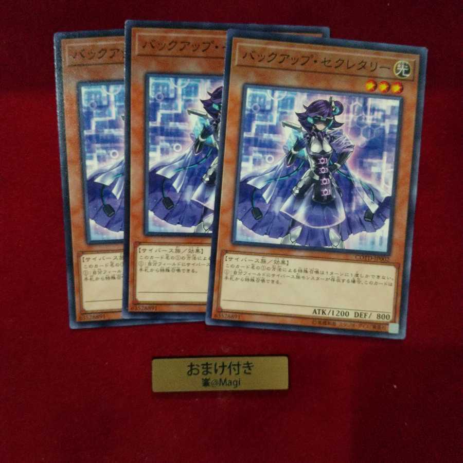 バックアップ・セクレタリー ノーマル