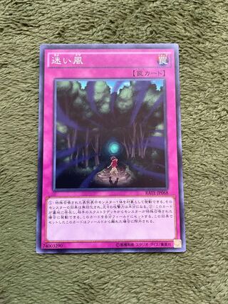 迷い風 ノーマル