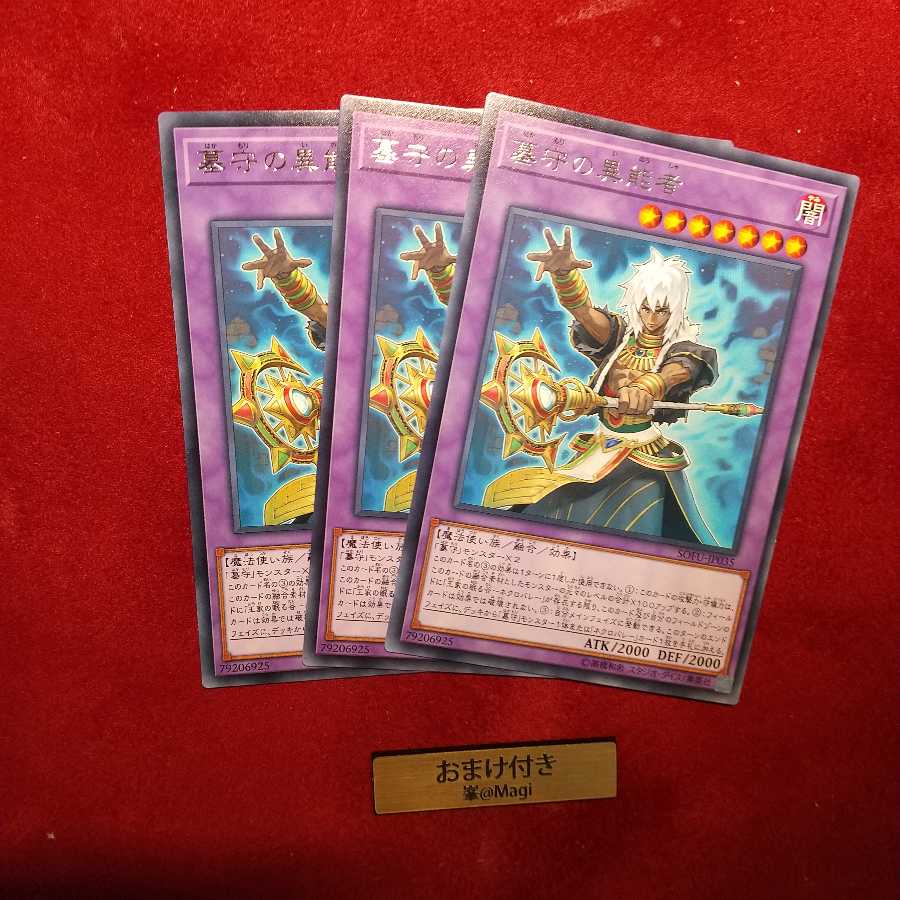 墓守の異能者 レア