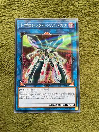 トポロジック・トゥリスバエナ パラレル ノーマル