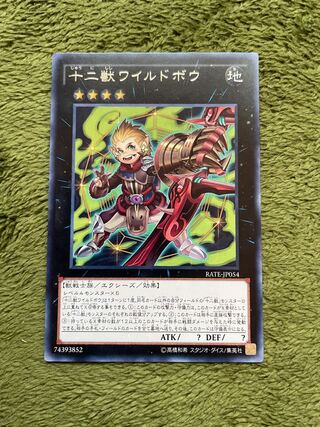 十二獣ワイルドボウ レア