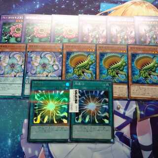 超融合　捕食植物　プレデタープランツ　アナコンダ　遊戯王