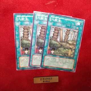 大樹海 ノーマル