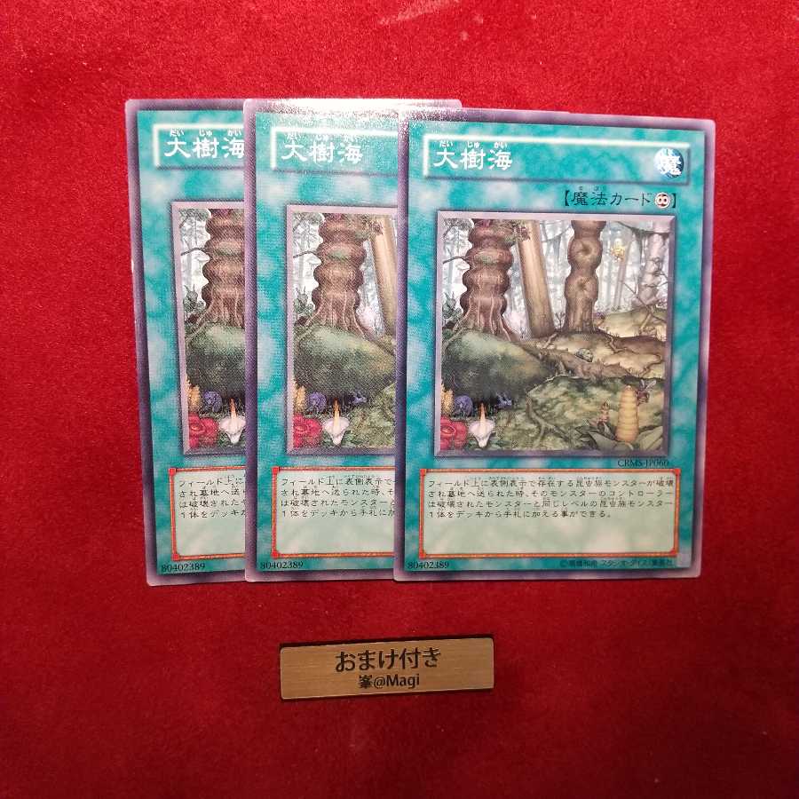 大樹海　ノーマル　