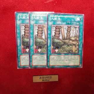 大樹海　ノーマル　