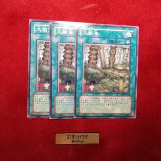 大樹海 ノーマル