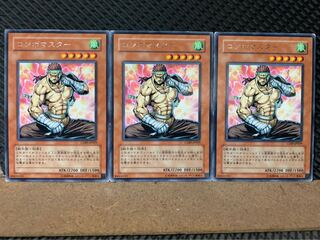 Popotan] Yu-Gi-Oh! 7314 Combo Master 3 cards Rare