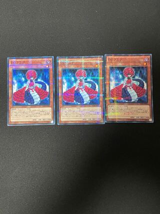 DDラミア パラレル ノーマル