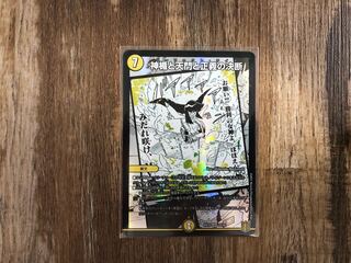 The divine shield, the heavenly gate, and the righteous decision