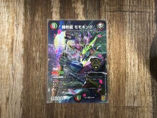 勝熱龍 モモキング