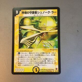 神魂の守護者シュノークラー