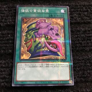 Pot of Desires Normal