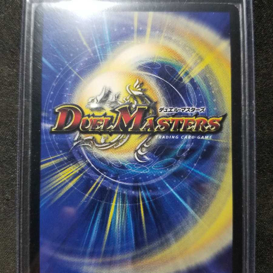 へるぼろふ 様専用 時空の悪魔龍ディアボロスZZ