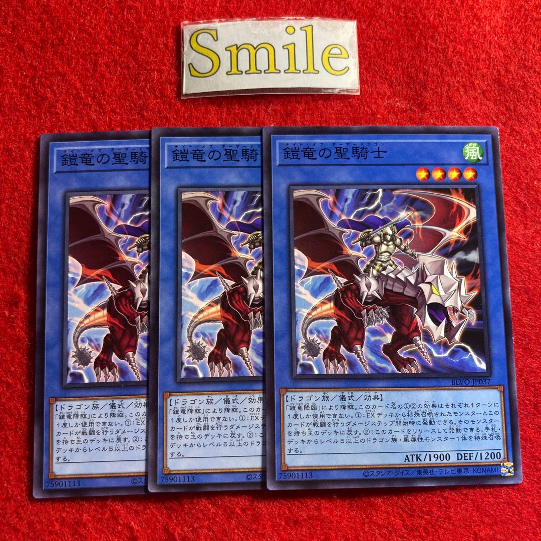 Knight of Armor Dragon#2104