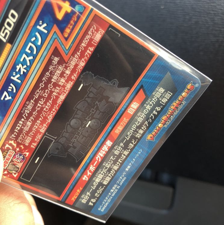 Dr.コーチン　高騰してます^_^