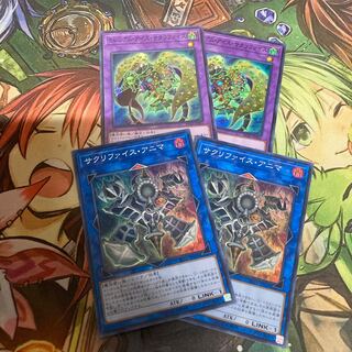 サクリファイス　セット