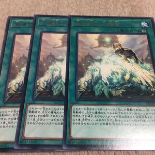 星遺物の守護竜 レア