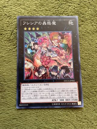 Traptrix Rafflesia Super Rare