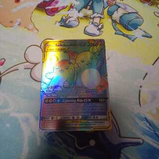 ライチュウ&アローラライチュウ