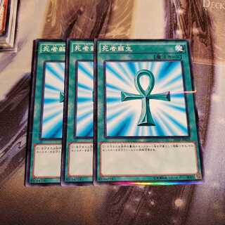 【願い事】死者蘇生 3枚