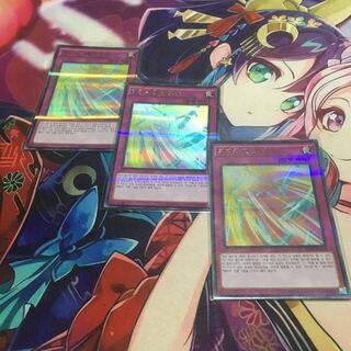 遊戯王　ハーピィの羽根吹雪　韓国