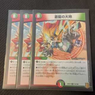 蒼龍の大地 3枚