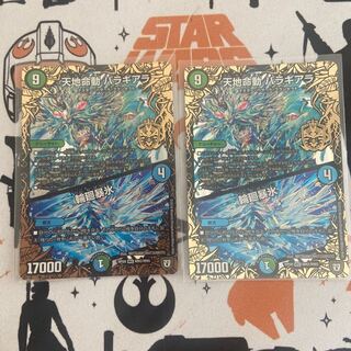 天地命動 バラギアラ｜輪廻暴氷　2枚