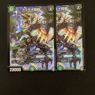 ブラキオ龍樹　2枚