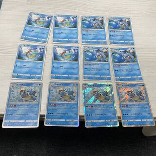 ゼニガメ　カメール　カメックス