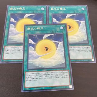 蘇生の蜂玉 レア