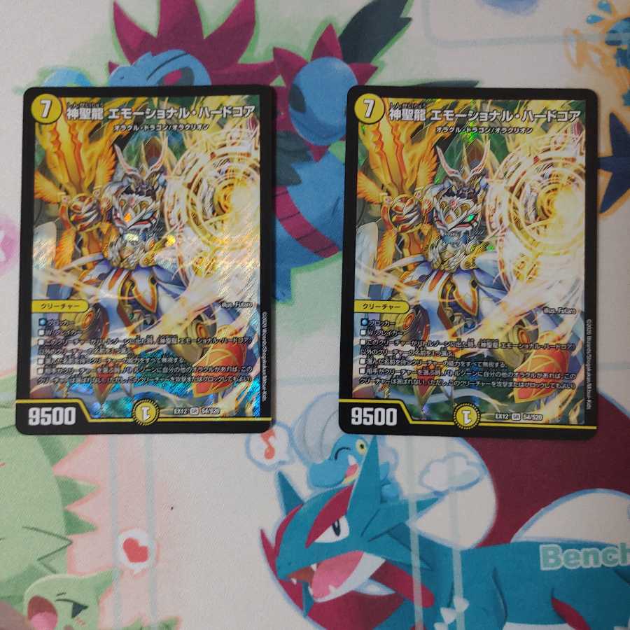 神聖龍 エモーショナル・ハードコア 2枚　出品時最安値