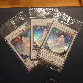 【美麗　未開封　eu　英語】ガーデンローズメイデン