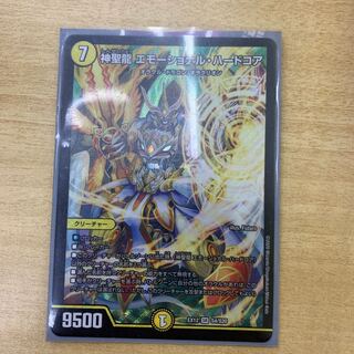 神聖龍 エモーショナル・ハードコア