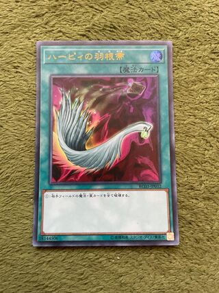 ハーピィの羽根帚 ウルトラレア