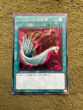 ハーピィの羽根帚 ノーマル