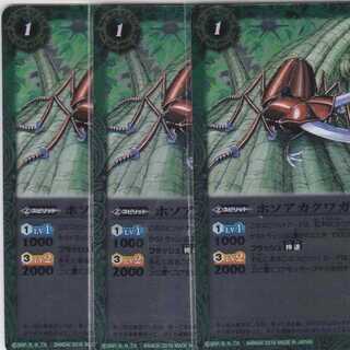 ホソアカクワガー　３枚　BSC27　かぶとぷし