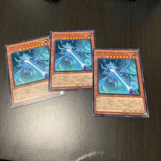 サブテラーマリス・ボルティニア ノーマル