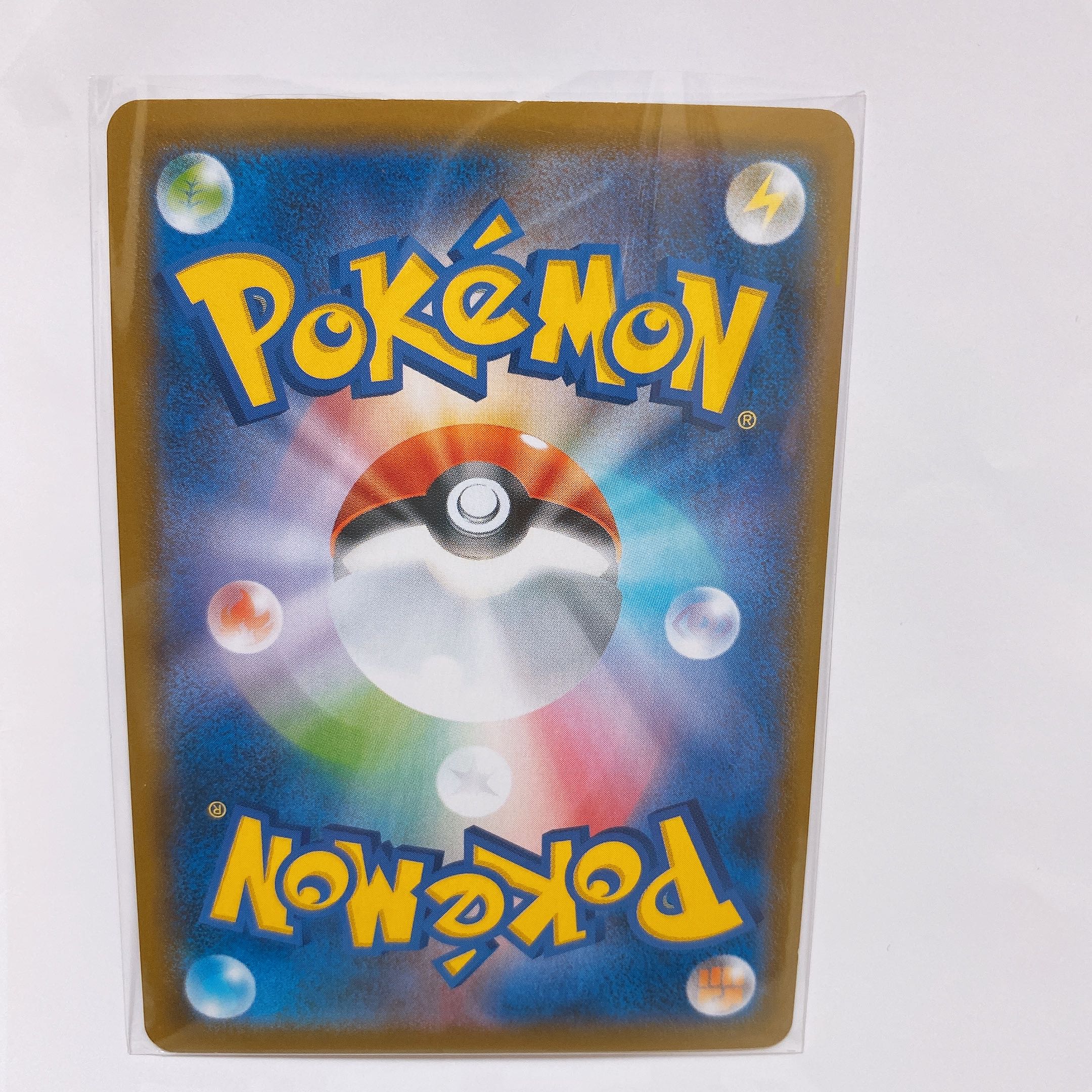 Zamazenta a Rosa Zing