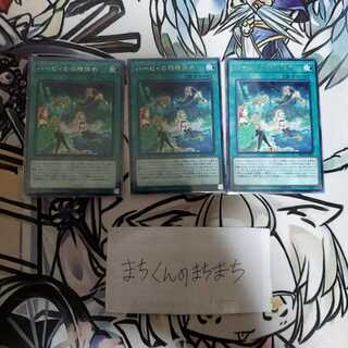 911　ハーピィの羽根休め3枚set