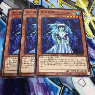 水の精霊 アクエリア ノーマル　Hulu 616