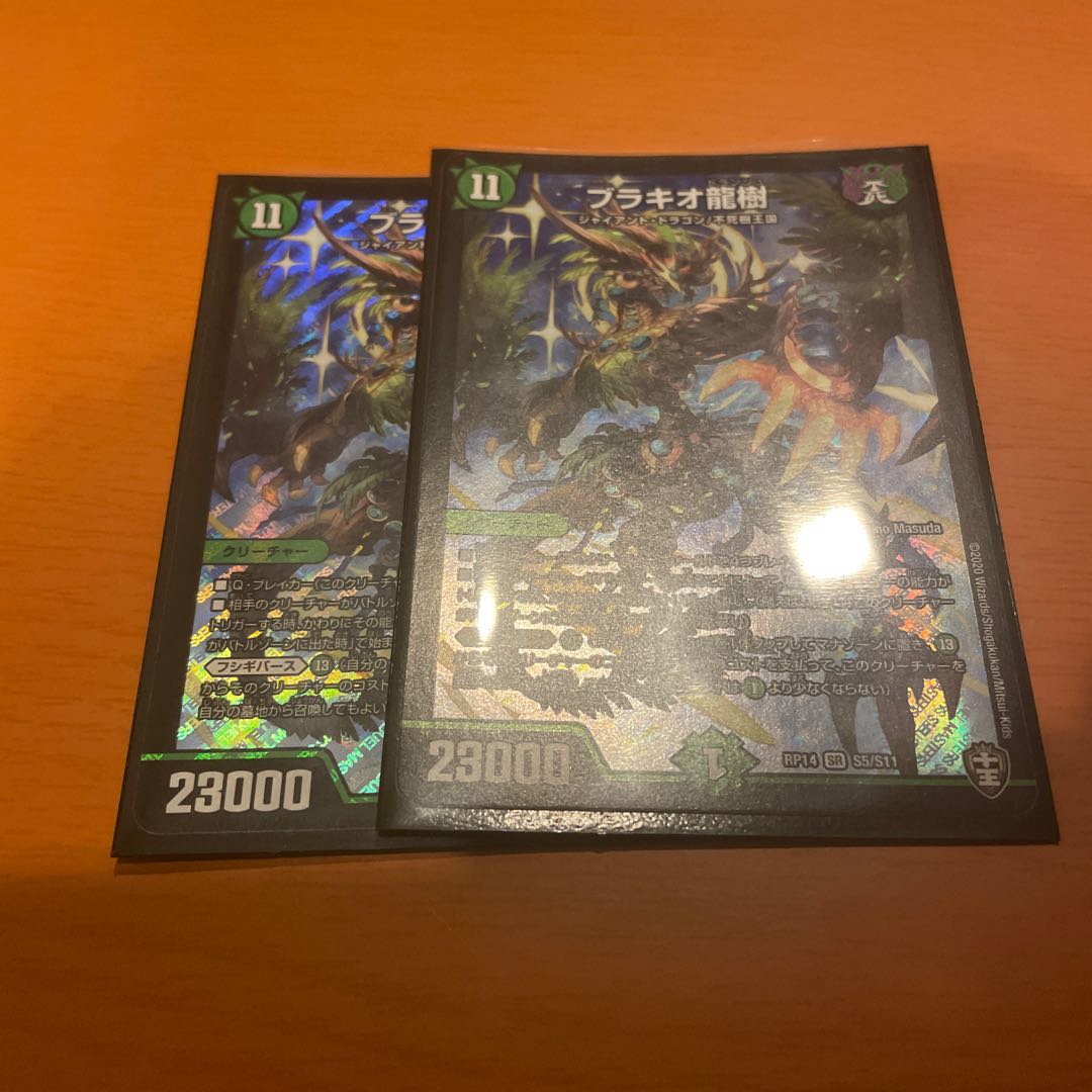 ブラキオ龍樹 2枚