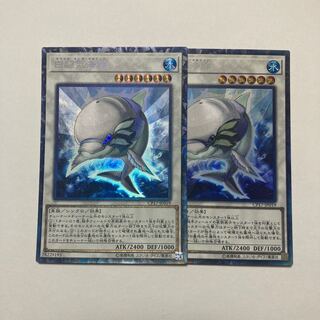 White Aura Dolphin Collector's Rare JP019