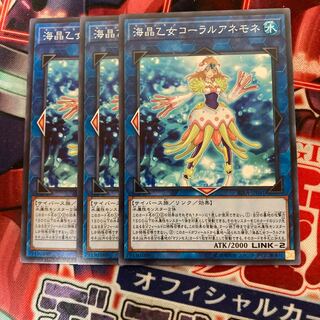 マドレース6374海晶乙女コーラルアネモネ ノーマル