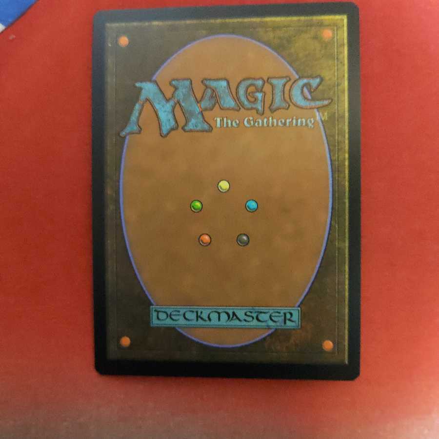 宝石の睡蓮　foil 　日本語